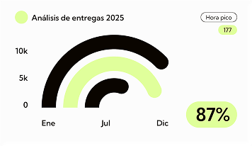Gráfica de análisis de entregas 2025 — 87% de entregas exitosas